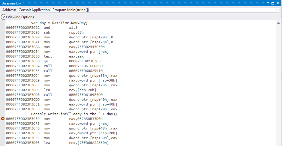 View your disassembled code